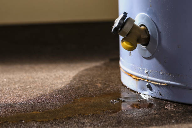Best Basement water damage restoration  in The Dalles, OR